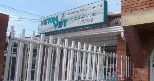 VISION VET BOGOTÁ VISION VET BOGOTÁ